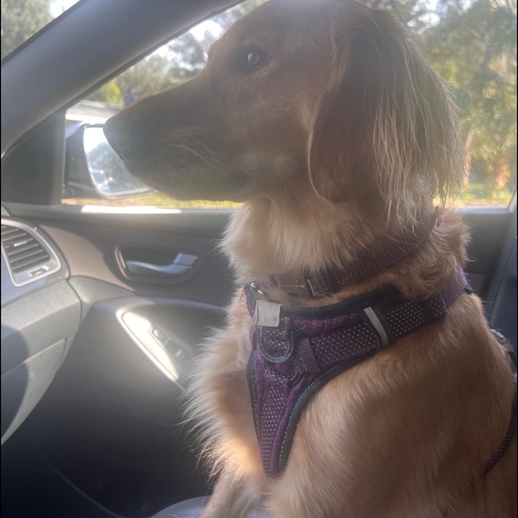 Meet your Posher, Michelle - Picture 11 of 16